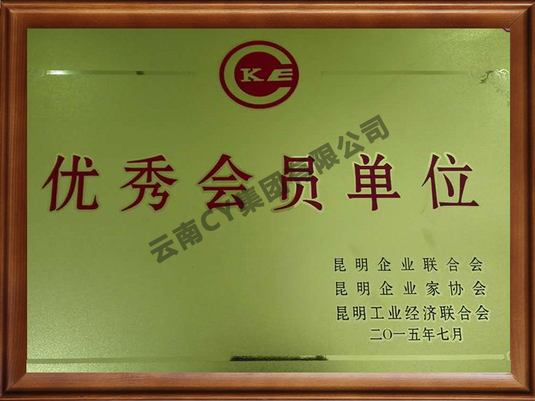 优秀会员单位-昆企协2015.07