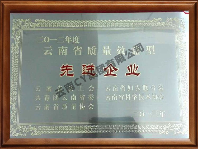 云南省质量效益型先进企业特别奖