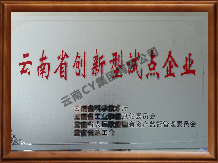 云南省创新型试点企业