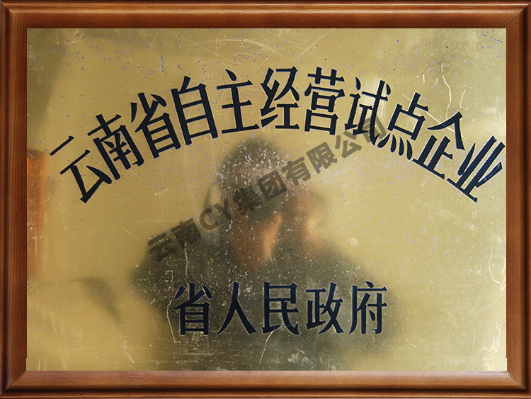 云南省自主经营试点企业