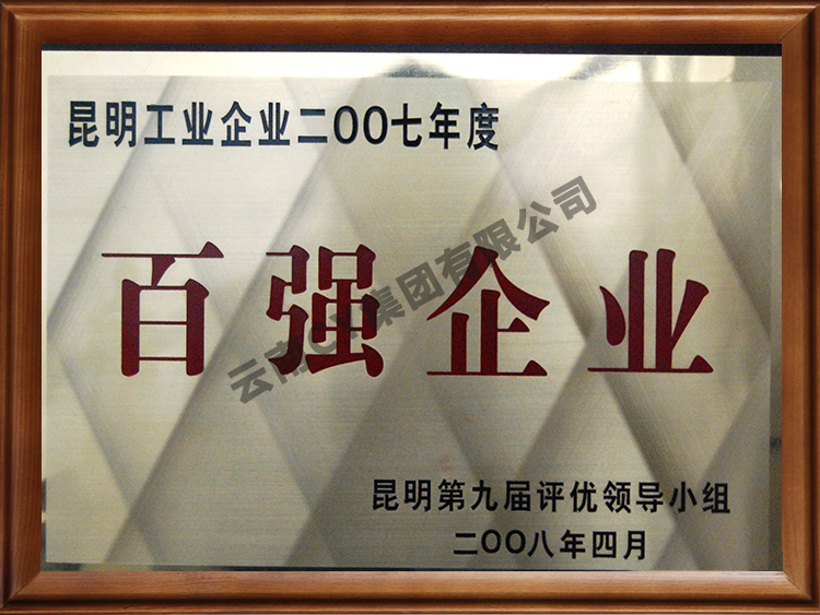 2007年百强企业