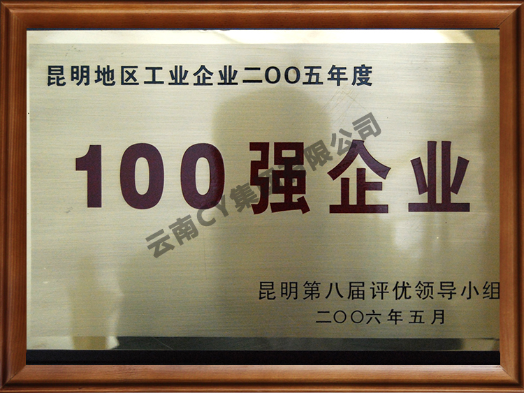 2005年100强企业